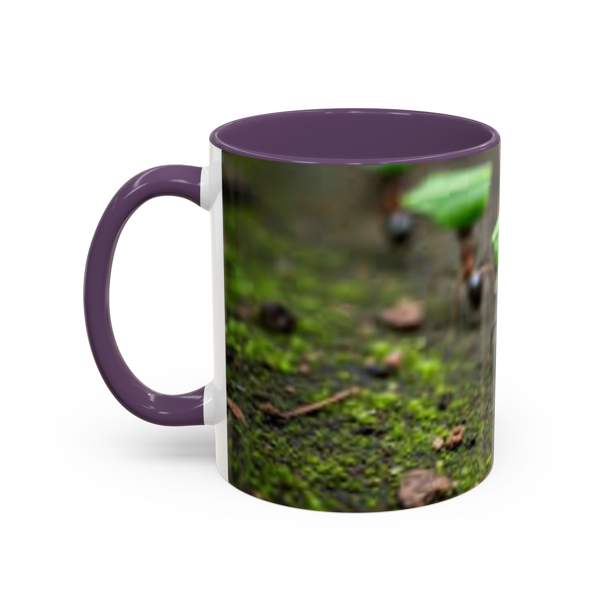 Leafcutter Ants Photo Accent Coffee Mug (11/15 oz)